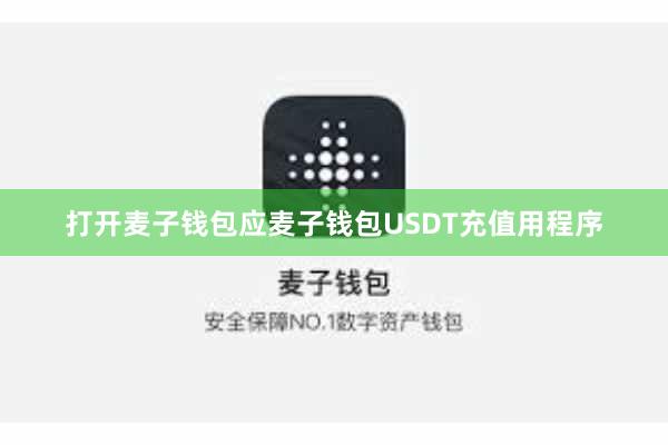 打开麦子钱包应麦子钱包USDT充值用程序