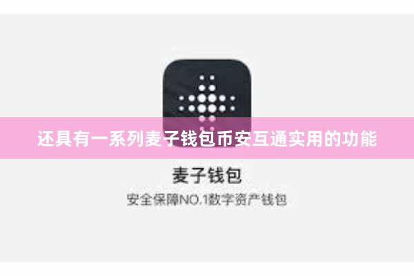 还具有一系列麦子钱包币安互通实用的功能