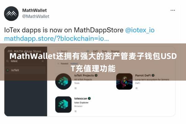 MathWallet还拥有强大的资产管麦子钱包USDT充值理功能