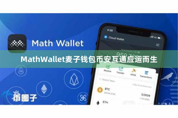 MathWallet麦子钱包币安互通应运而生