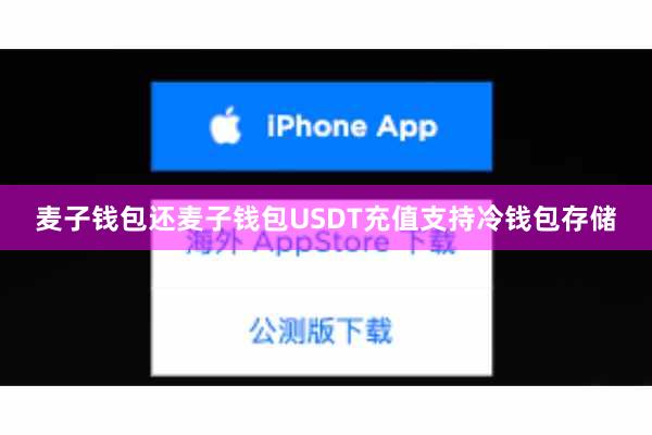 麦子钱包还麦子钱包USDT充值支持冷钱包存储