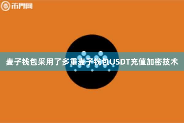 麦子钱包采用了多重麦子钱包USDT充值加密技术