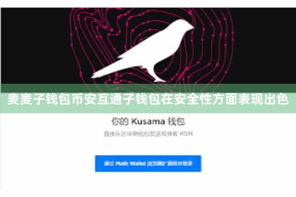 麦麦子钱包币安互通子钱包在安全性方面表现出色