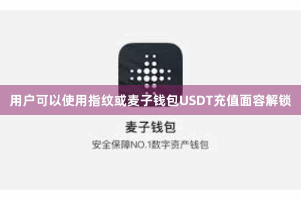 用户可以使用指纹或麦子钱包USDT充值面容解锁