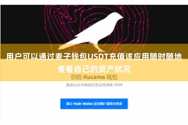 用户可以通过麦子钱包USDT充值该应用随时随地查看自己的资产状况