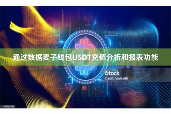 通过数据麦子钱包USDT充值分析和报表功能