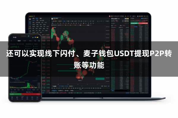 还可以实现线下闪付、麦子钱包USDT提现P2P转账等功能