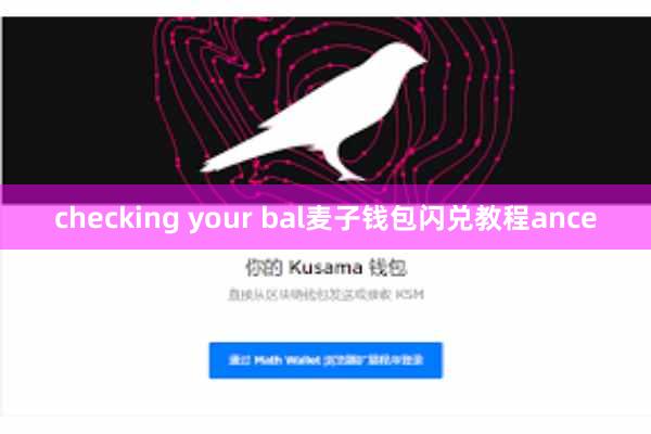 checking your bal麦子钱包闪兑教程ance