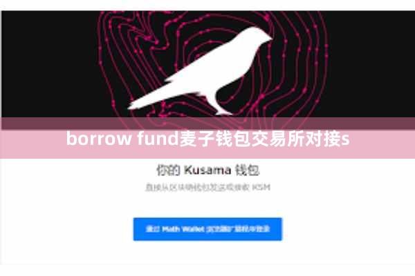 borrow fund麦子钱包交易所对接s