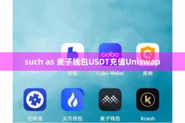 such as 麦子钱包USDT充值Uniswap