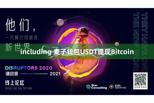 including 麦子钱包USDT提现Bitcoin