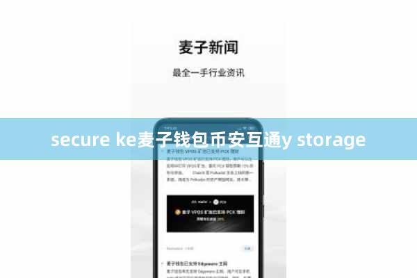 secure ke麦子钱包币安互通y storage