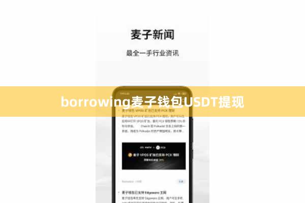 borrowing麦子钱包USDT提现