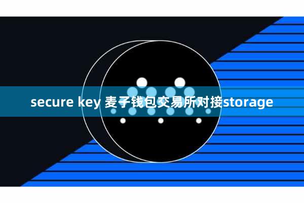 secure key 麦子钱包交易所对接storage