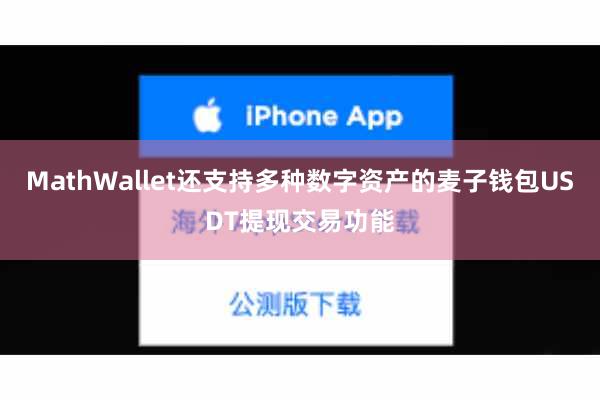 MathWallet还支持多种数字资产的麦子钱包USDT提现交易功能