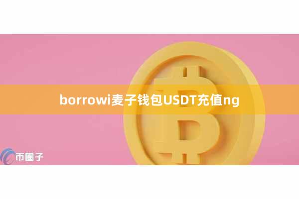 borrowi麦子钱包USDT充值ng