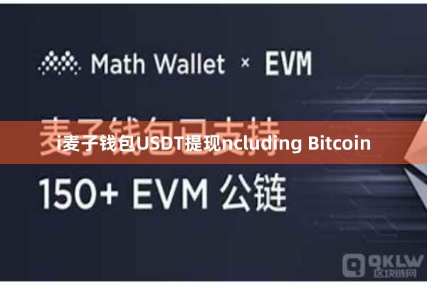 i麦子钱包USDT提现ncluding Bitcoin