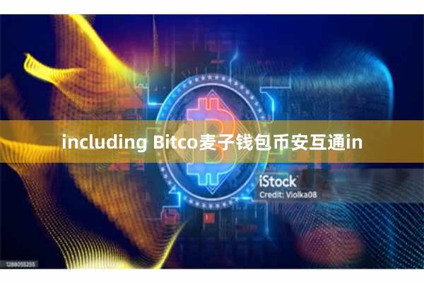 including Bitco麦子钱包币安互通in