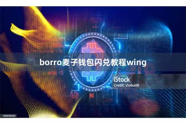 borro麦子钱包闪兑教程wing