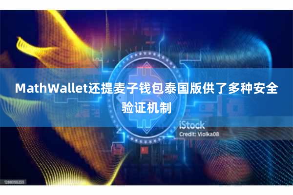 MathWallet还提麦子钱包泰国版供了多种安全验证机制