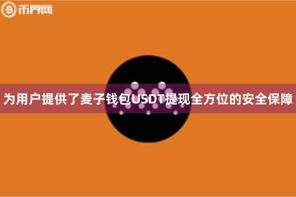 为用户提供了麦子钱包USDT提现全方位的安全保障