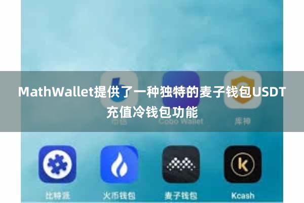 MathWallet提供了一种独特的麦子钱包USDT充值冷钱包功能