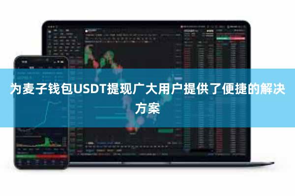 为麦子钱包USDT提现广大用户提供了便捷的解决方案
