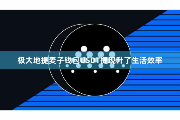 极大地提麦子钱包USDT提现升了生活效率