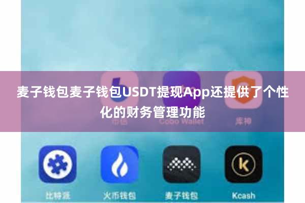 麦子钱包麦子钱包USDT提现App还提供了个性化的财务管理功能