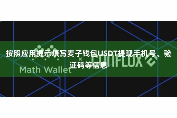 按照应用提示填写麦子钱包USDT提现手机号、验证码等信息