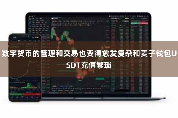 数字货币的管理和交易也变得愈发复杂和麦子钱包USDT充值繁琐