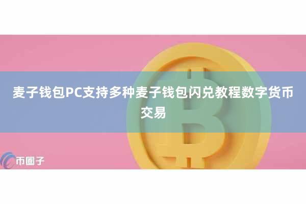 麦子钱包PC支持多种麦子钱包闪兑教程数字货币交易