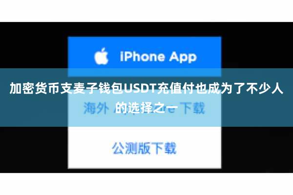 加密货币支麦子钱包USDT充值付也成为了不少人的选择之一