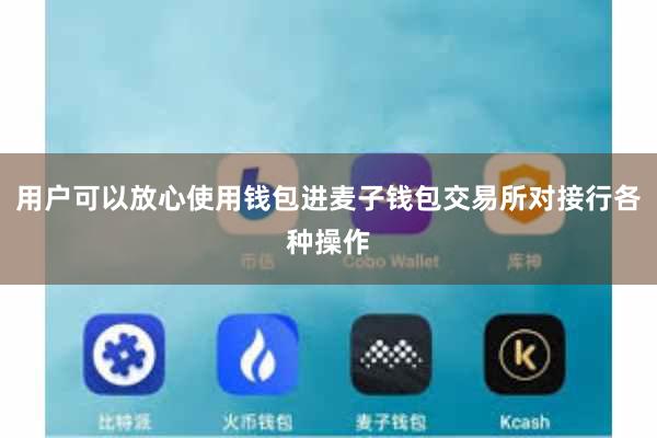 用户可以放心使用钱包进麦子钱包交易所对接行各种操作