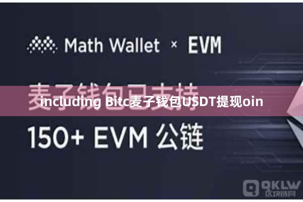 including Bitc麦子钱包USDT提现oin