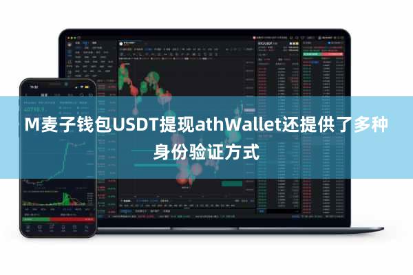 M麦子钱包USDT提现athWallet还提供了多种身份验证方式