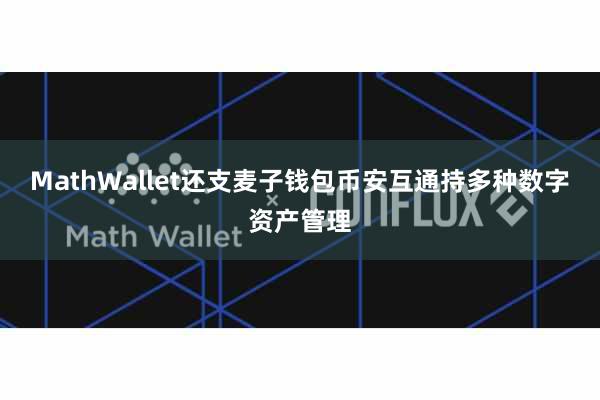 MathWallet还支麦子钱包币安互通持多种数字资产管理